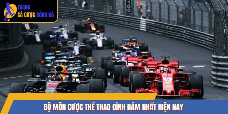 Bộ môn cược thể thao đình đám nhất hiện nay