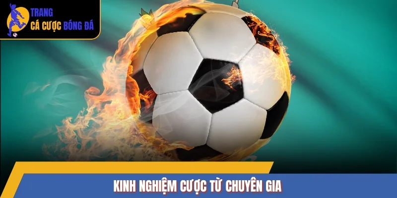 Kinh nghiệm cược từ chuyên gia